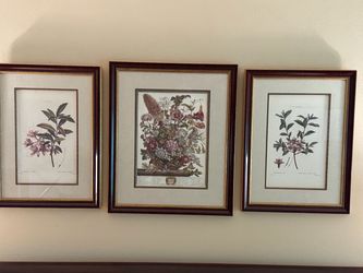 Botanical Prints #3