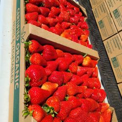 Sweet ORGANIC STRAWBERRY 