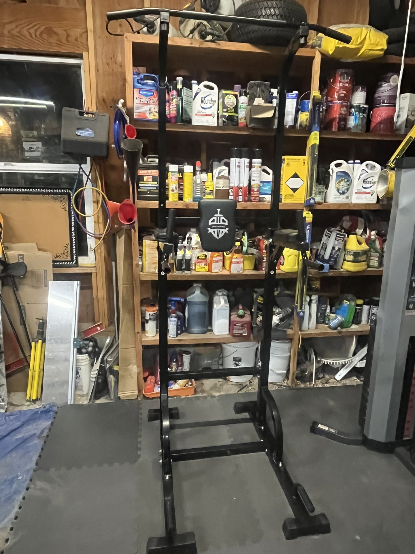 Pull Up And Dip Home Gym Station