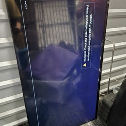 Sony 50" TV 