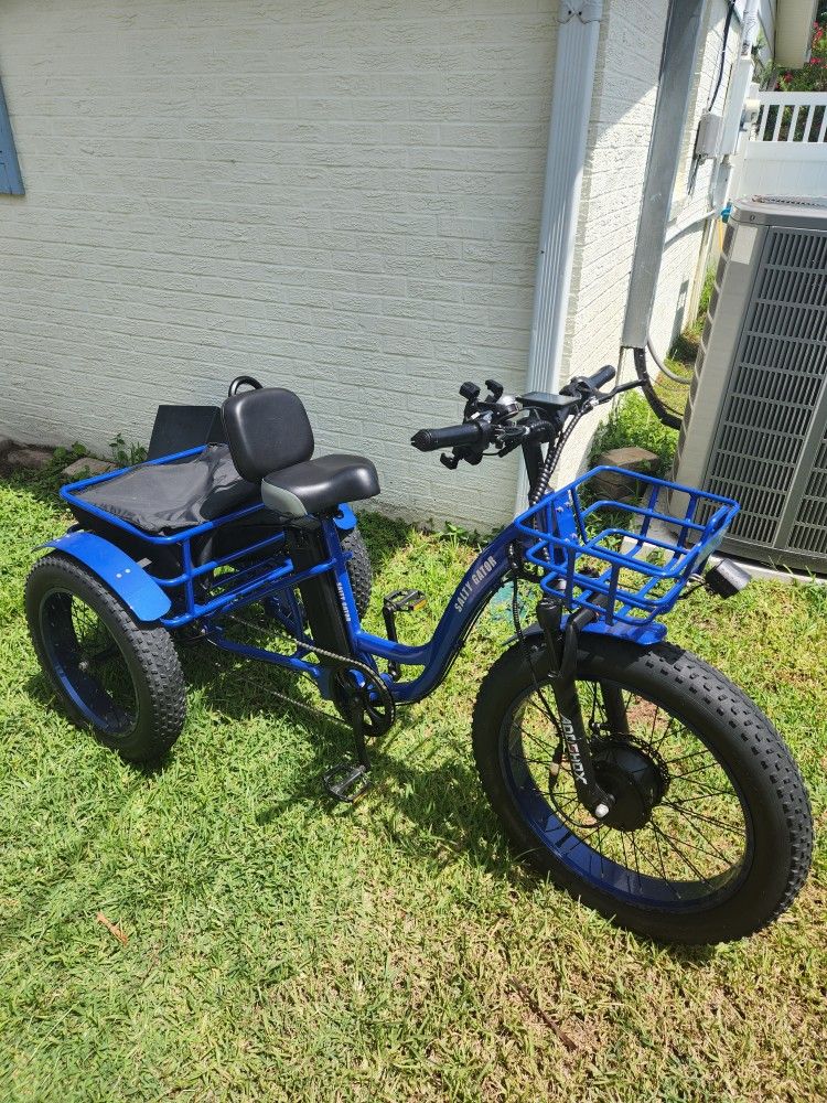 Electric Trike