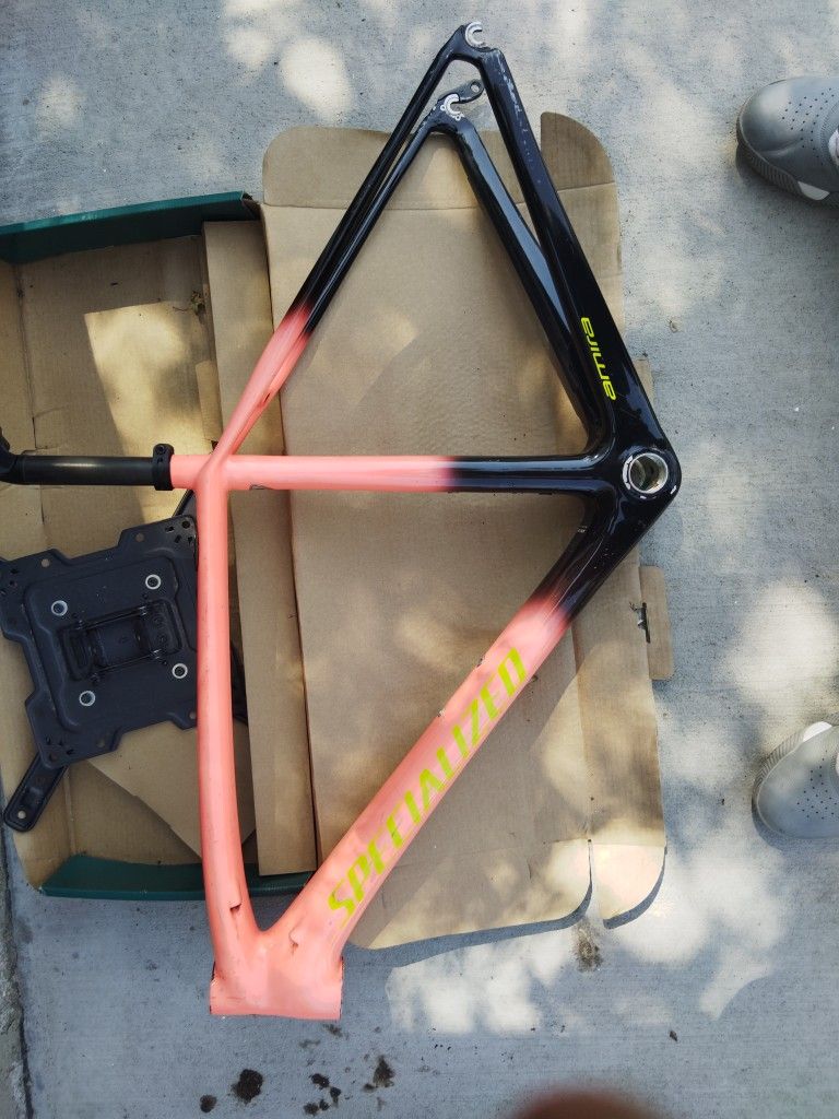 Specialized Amiria