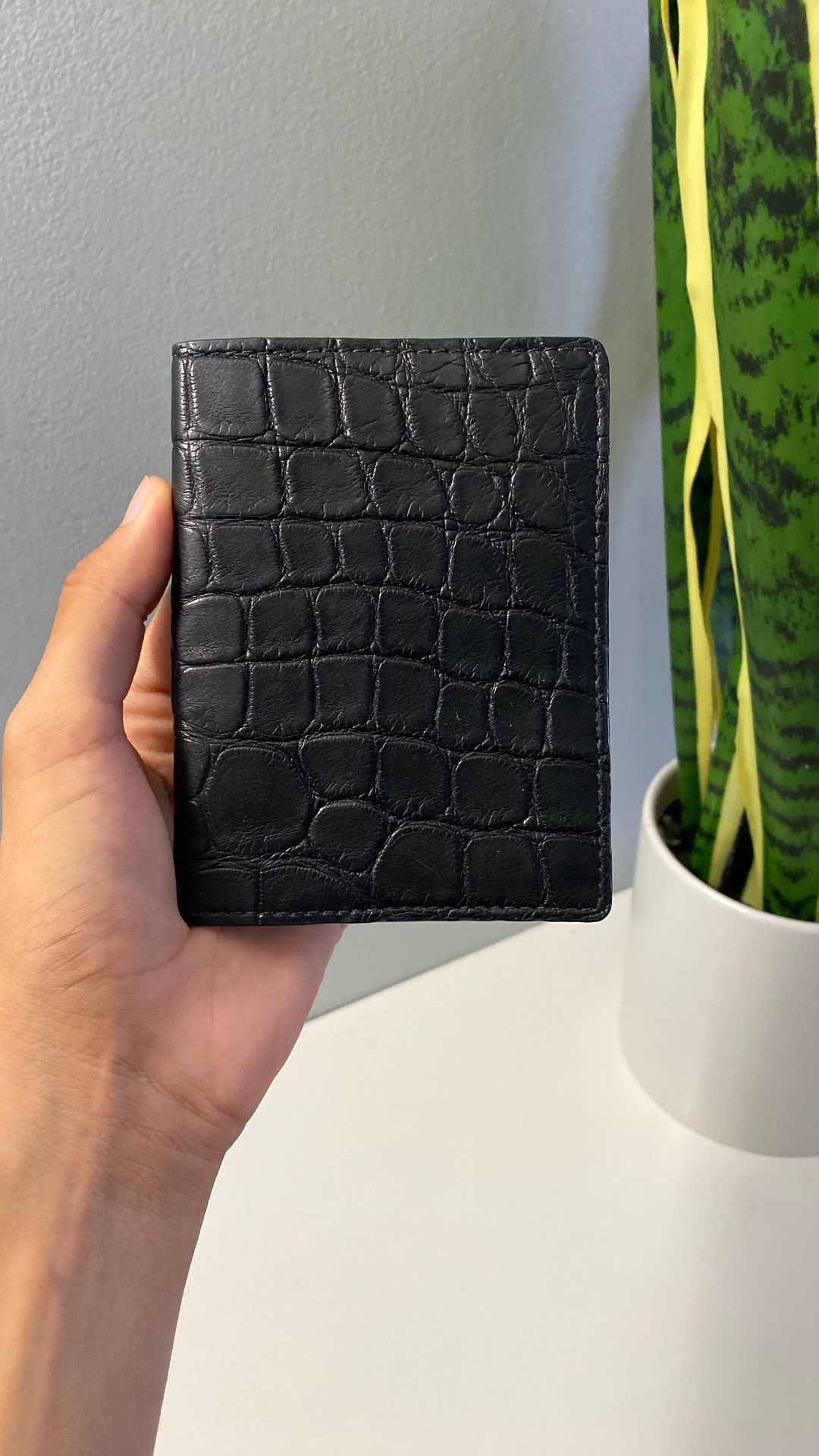 Alligator Met Wallet