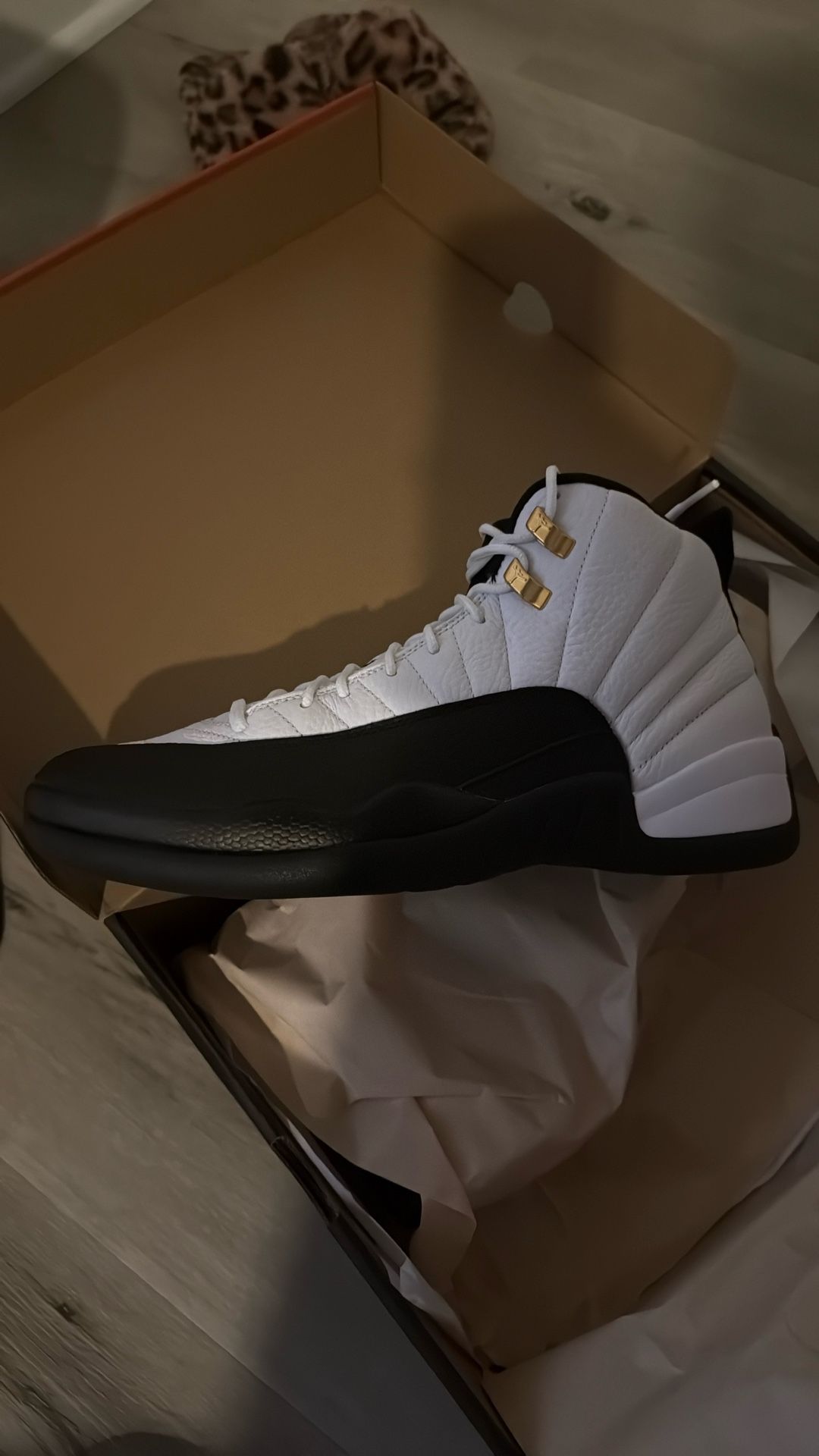 Jordan 12 Taxi Size 10