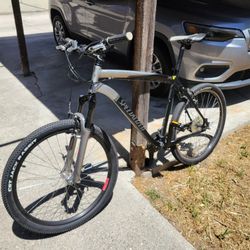 2010 Specialized Rockhopper Mountain Bike