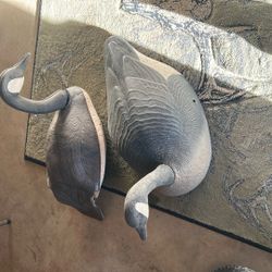 Canadian Geese Decoys