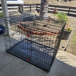 Kong Dog Crate XL