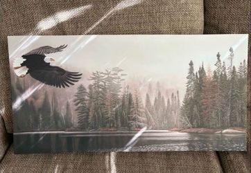 Eagle canvas