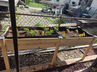 Raised Garden Box