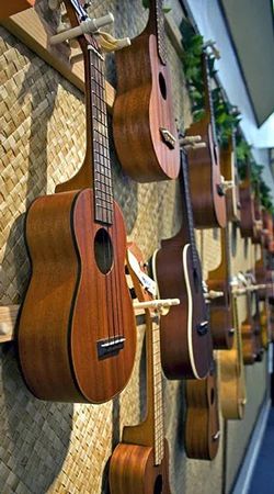 Ukulele Brand New