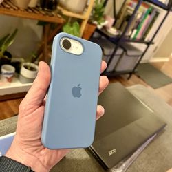 iPhone 16e (256GB Model)