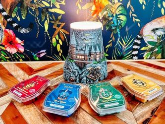 Harry Potter Scentsy Warmer!