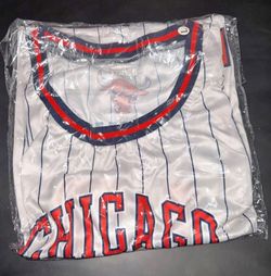 AI Overview    +4                    This is a Chicago Bulls Ayo Dosunmu jersey.
