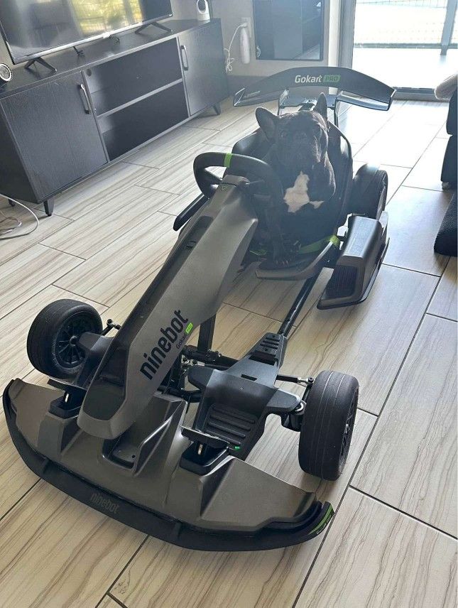 Segway-ninebot-electric-gokart-pro