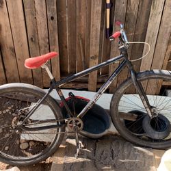 Gt Pro Series 50 Th Anaveristy 