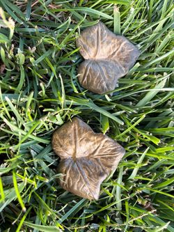 Vintage Brass knobs