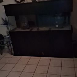 125gallon Fish Tank 