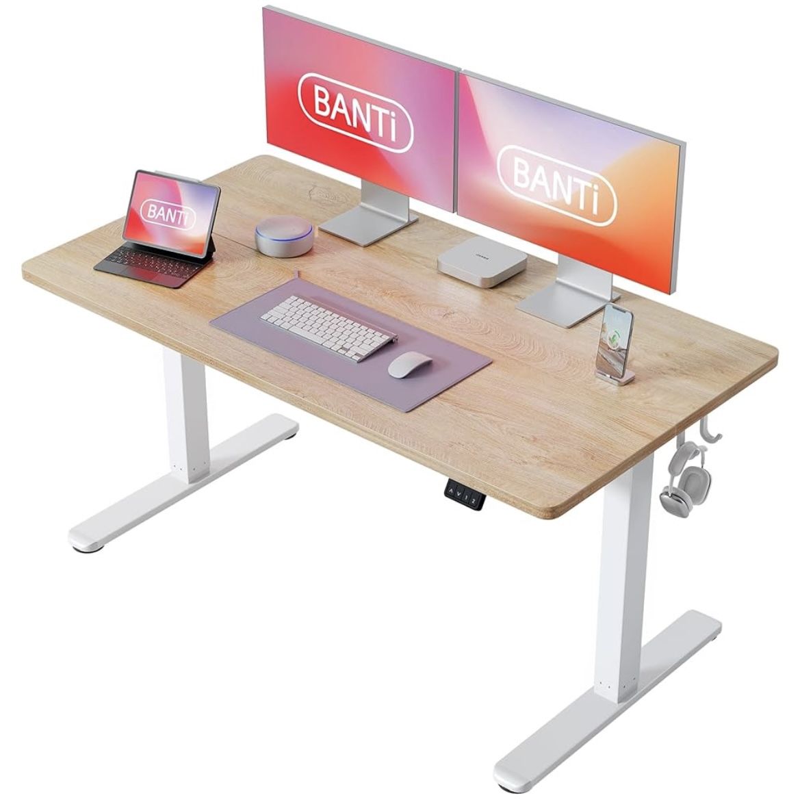 55” Sit Stand Work Desk (Motorized)