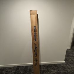 Movie style 7 foot projection screen