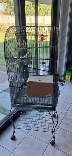 Bird cage with the bird