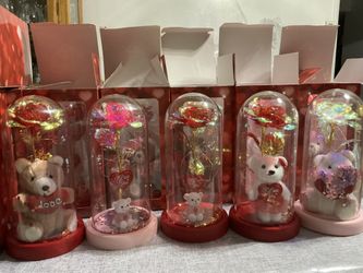 Valentines Domes 