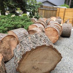 Tree Rounds (Free)