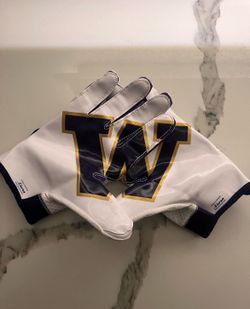 Washington University Xl