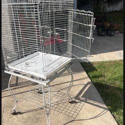 Bird Cage