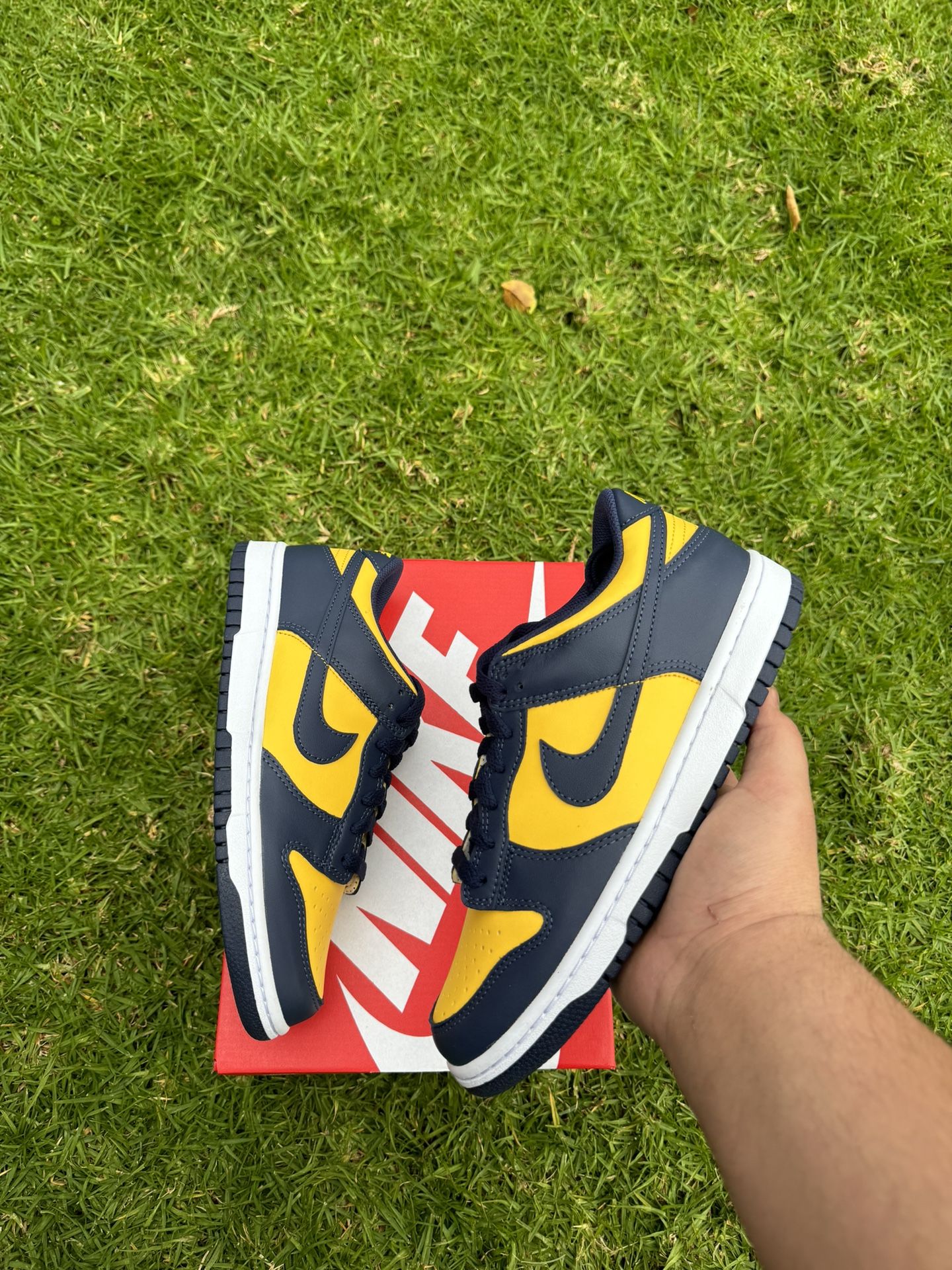 Nike Dunk Low Michigan Gs Nike Dunk Low Michigan Gs