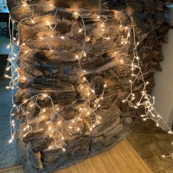 Tree Or Outside Bright Lights