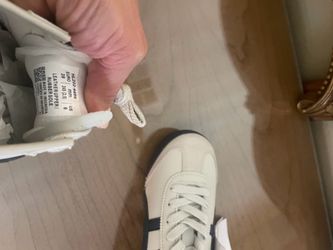 Designer Sneakers