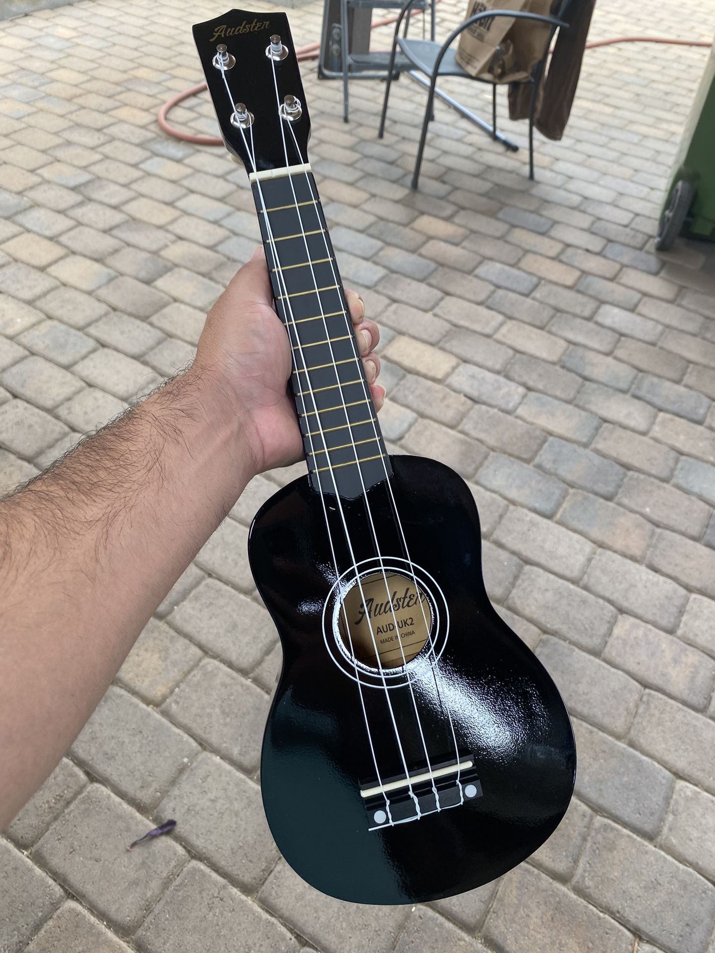 Audster Guitar