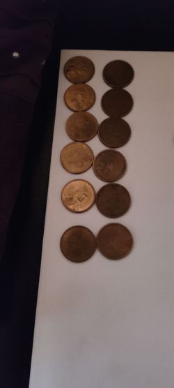 Circulated Sacegawea Dollar Coins