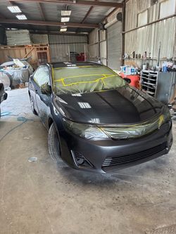 Paint body