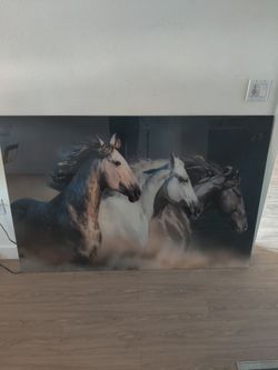 Horse poster 