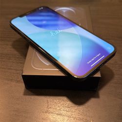 Apple iPhone 12 Pro Max