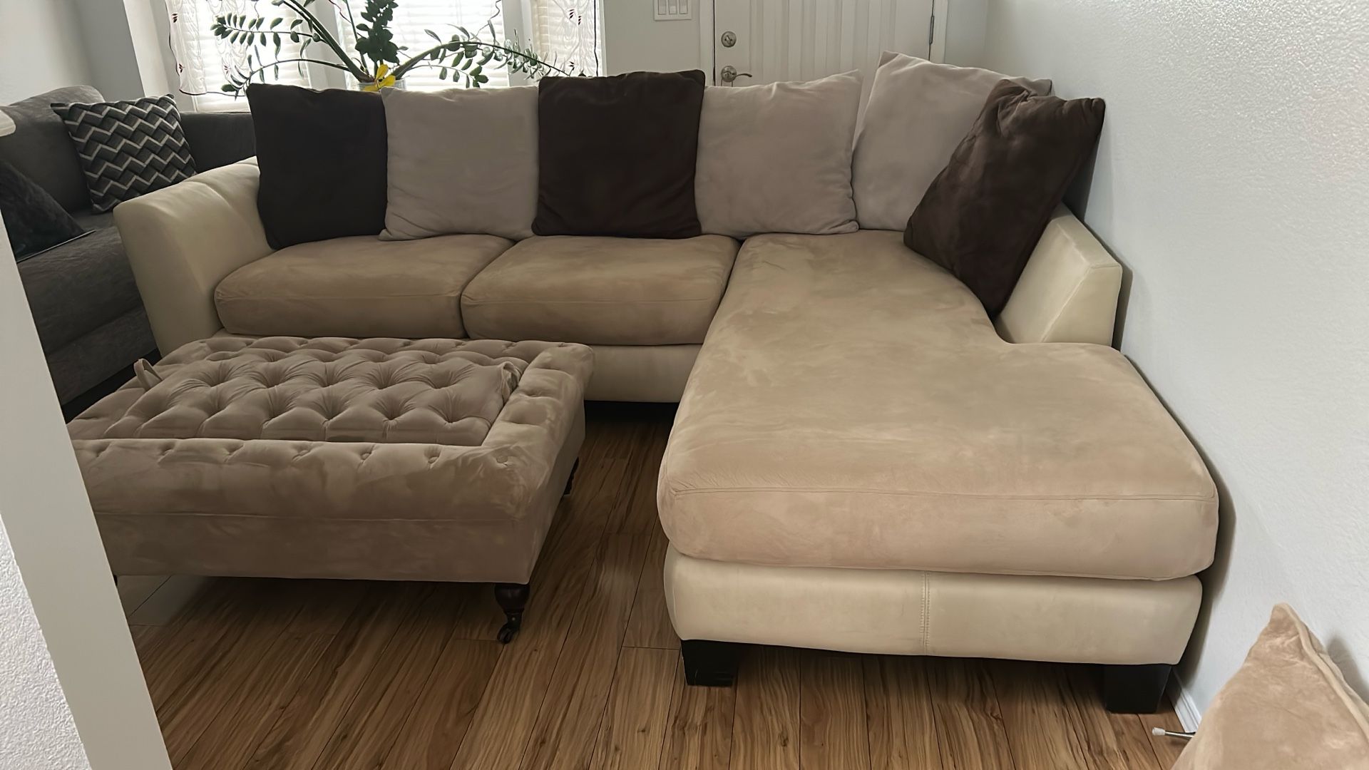 Couch And Ottoman 