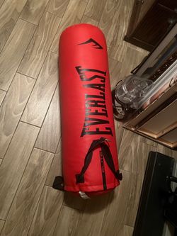 Everlast Punching Bag