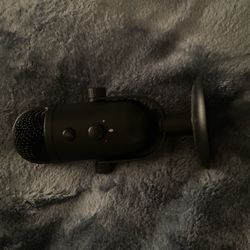 Microphone