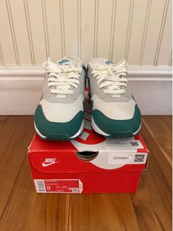 Nike air max 1 “Anniversary Green” 9