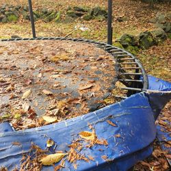 Free TRAMPOLINE 
