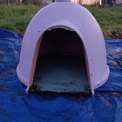 Small Dog Igloo 
