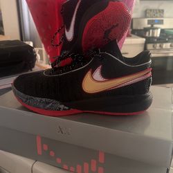 lebron XX