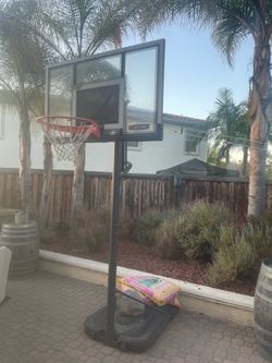 Adjustable Basketball hop
