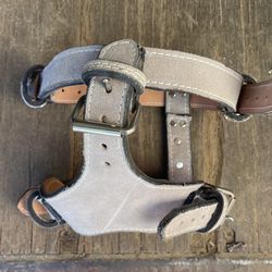 Leather Harness (medium)