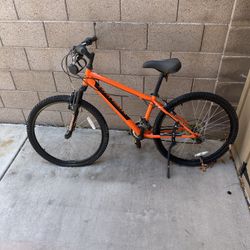 Mountain Bike