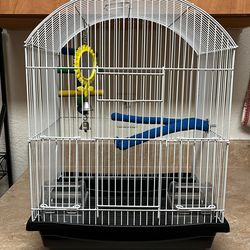 Bird Cage