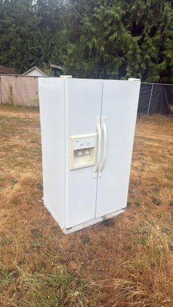 Fridge/ refrigerator