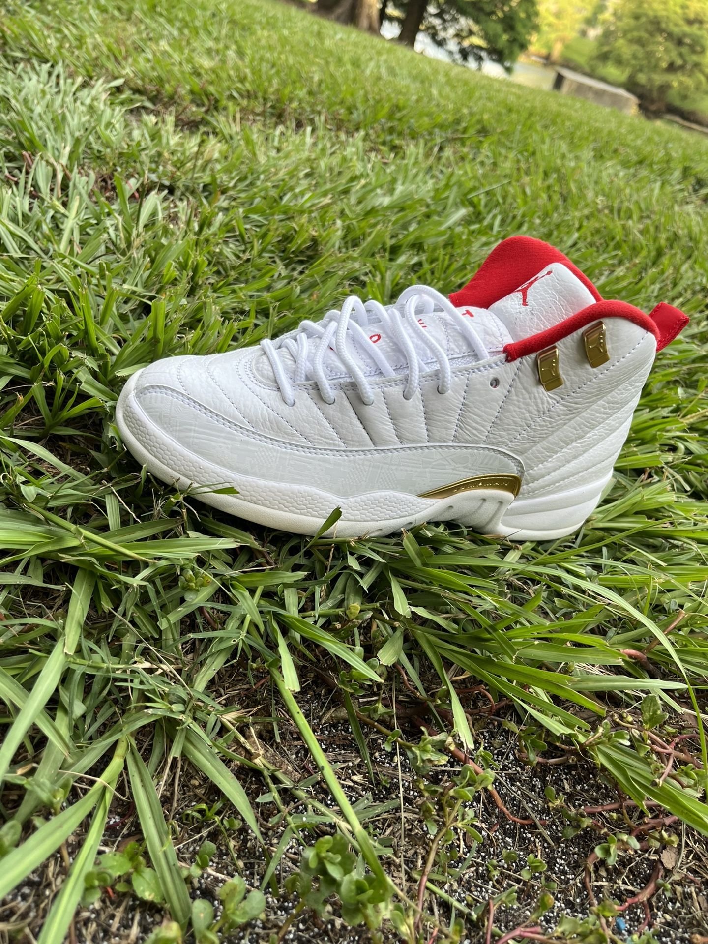Air Jordan 12 Fiba