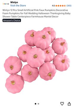 Pink Pumpkin Decor